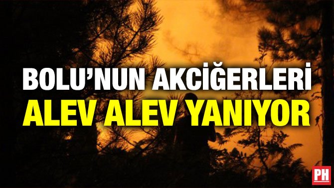BOLU’NUN AKCİĞERLERİ ALEV ALEV YANIYOR