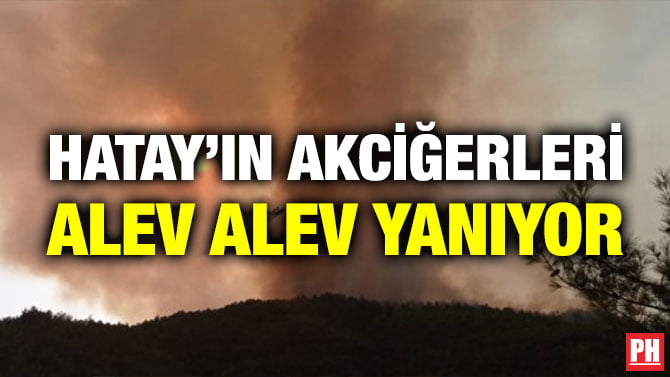 HATAY’IN AKCİĞERLERİ ALEV ALEV YANIYOR
