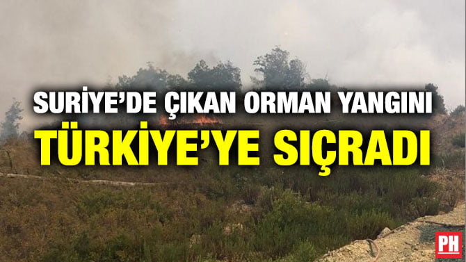 SURİYE’DE ÇIKAN ORMAN YANGINI TÜRKİYE’YE SIÇRADI