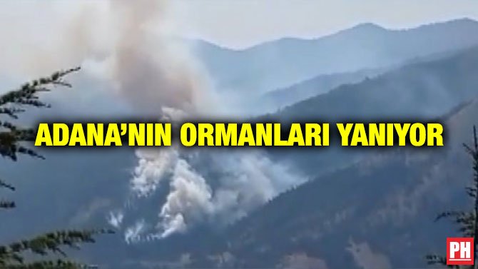 ADANA’NIN ORMANLARI YANIYOR