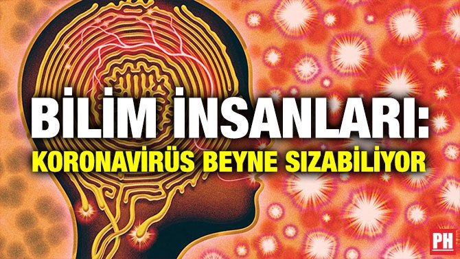 BİLİM İNSANLARI: KORONAVİRÜS BEYNE SIZABİLİYOR