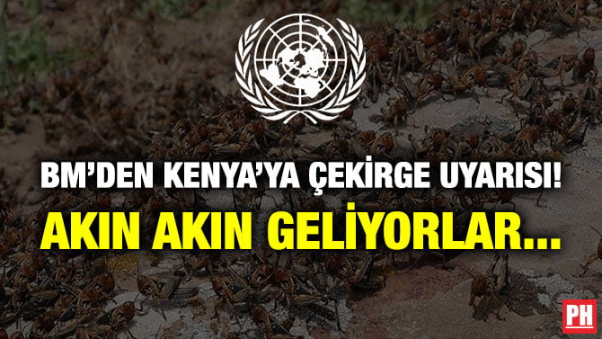 BM’DEN KENYA’YA ÇEKİRGE UYARISI! AKIN AKIN GELİYORLAR…