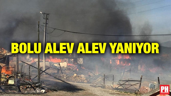 BOLU ALEV ALEV YANIYOR