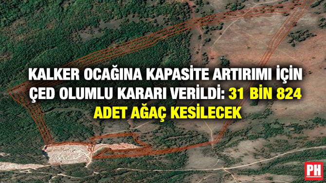 KALKER OCAĞINA KAPASİTE ARTIRIMI İÇİN ÇED OLUMLU KARARI VERİLDİ: 31 BİN 824 ADET AĞAÇ KESİLECEK