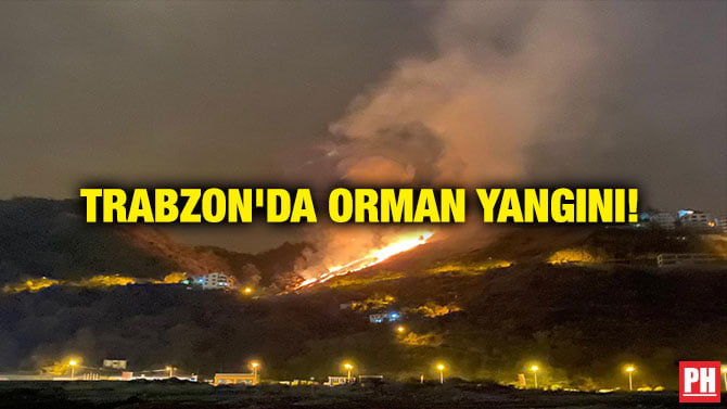 TRABZON’DA ORMAN YANGINI!