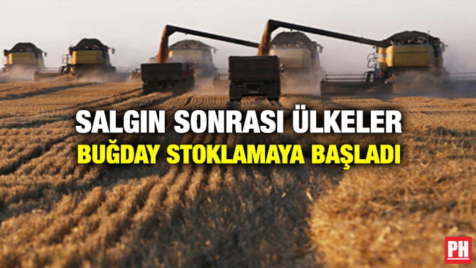 SALGIN SONRASI ÜLKELER BUĞDAY STOKLAMAYA BAŞLADI