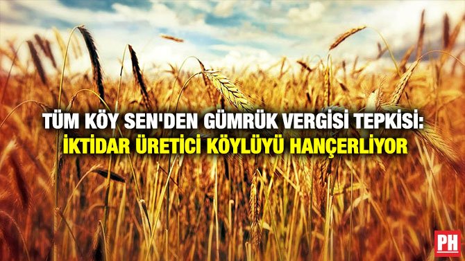 TÜM KÖY SEN’DEN GÜMRÜK VERGİSİ TEPKİSİ: İKTİDAR ÜRETİCİ KÖYLÜYÜ HANÇERLİYOR