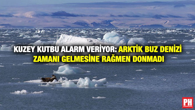 KUZEY KUTBU ALARM VERİYOR: ARKTİK BUZ DENİZİ ZAMANI GELMESİNE RAĞMEN DONMADI