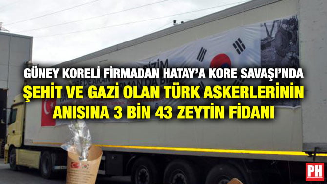 GÜNEY KORELİ FİRMADAN HATAY’A KORE SAVAŞI’NDA ŞEHİT VE GAZİ OLAN TÜRK ASKERLERİNİN ANISINA 3 BİN 43 ZEYTİN FİDANI