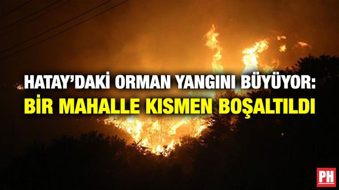 HATAY’DAKİ ORMAN YANGINI BÜYÜYOR: BİR MAHALLE KISMEN BOŞALTILDI
