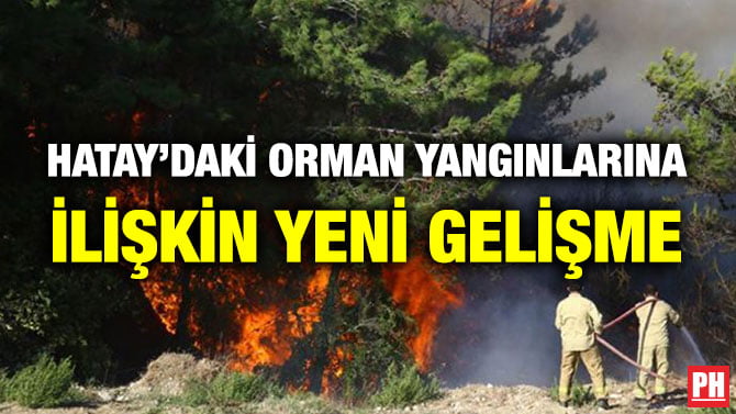 HATAY’DAKİ ORMAN YANGINLARINA İLİŞKİN YENİ GELİŞME