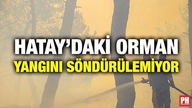 HATAY’DAKİ ORMAN YANGINI SÖNDÜRÜLEMİYOR
