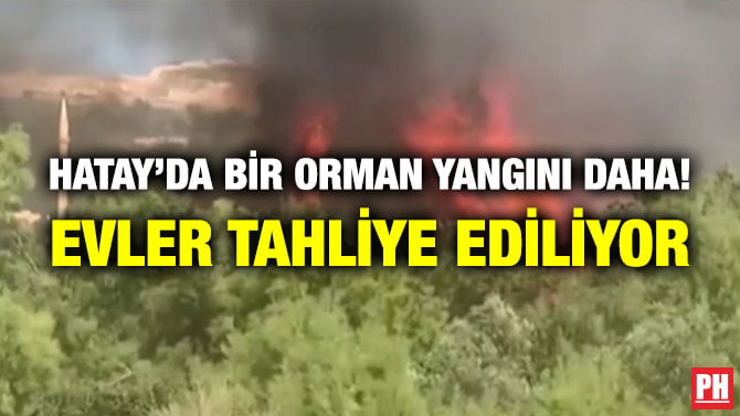 HATAY’DA BİR ORMAN YANGINI DAHA! EVLER TAHLİYE EDİLİYOR