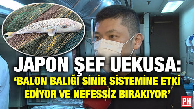 JAPON ŞEF UEKUSA: ‘BALON BALIĞI SİNİR SİSTEMİNE ETKİ EDİYOR VE NEFESSİZ BIRAKIYOR’