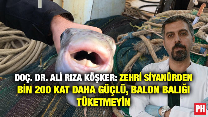 DOÇ. DR. ALİ RIZA KÖŞKER: ZEHRİ SİYANÜRDEN BİN 200 KAT DAHA GÜÇLÜ, BALON BALIĞI TÜKETMEYİN