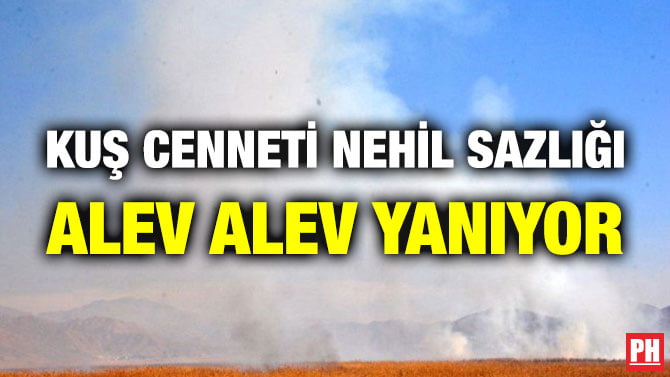 KUŞ CENNETİ NEHİL SAZLIĞI ALEV ALEV YANIYOR