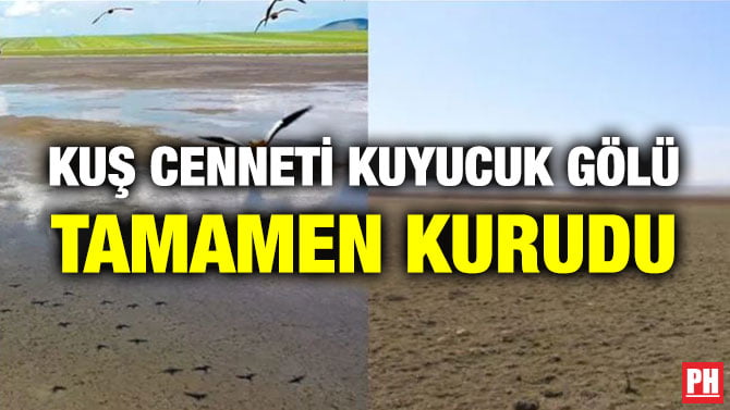 KUŞ CENNETİ KUYUCUK GÖLÜ TAMAMEN KURUDU