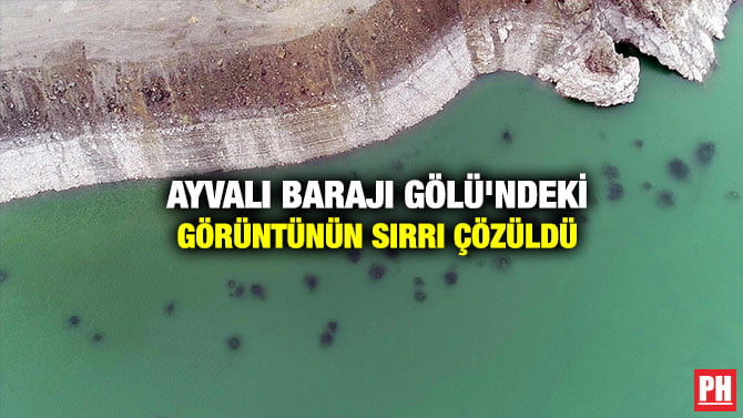 AYVALI BARAJI GÖLÜ’NDEKİ GÖRÜNTÜNÜN SIRRI ÇÖZÜLDÜ