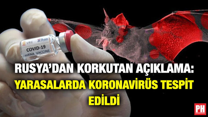 RUSYA’DAN KORKUTAN AÇIKLAMA: YARASALARDA KORONAVİRÜS TESPİT EDİLDİ