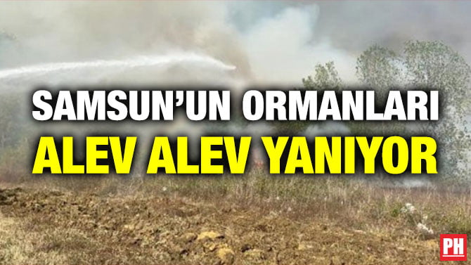 SAMSUN’UN ORMANLARI ALEV ALEV YANIYOR