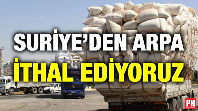 SURİYE’DEN ARPA İTHAL EDİYORUZ