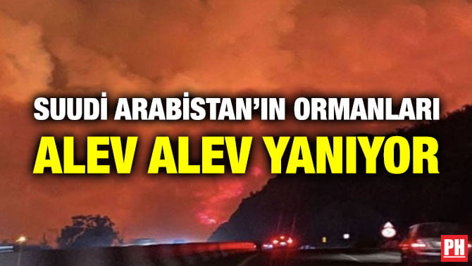 SUUDİ ARABİSTAN’IN ORMANLARI ALEV ALEV YANIYOR