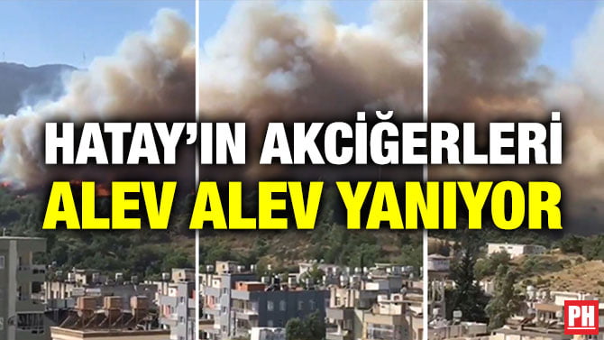 HATAY’IN AKCİĞERLERİ ALEV ALEV YANIYOR