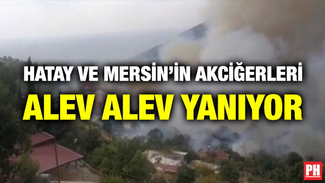 HATAY VE MERSİN’İN AKCİĞERLERİ ALEV ALEV YANIYOR