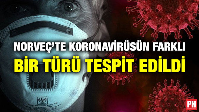 NORVEÇ’TE KORONAVİRÜSÜN FARKLI BİR TÜRÜ TESPİT EDİLDİ