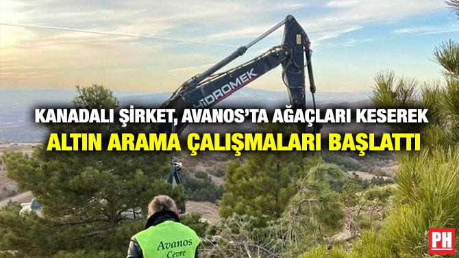 KANADALI ŞİRKET, AVANOS’TA AĞAÇLARI KESEREK ALTIN ARAMA ÇALIŞMALARI BAŞLATTI