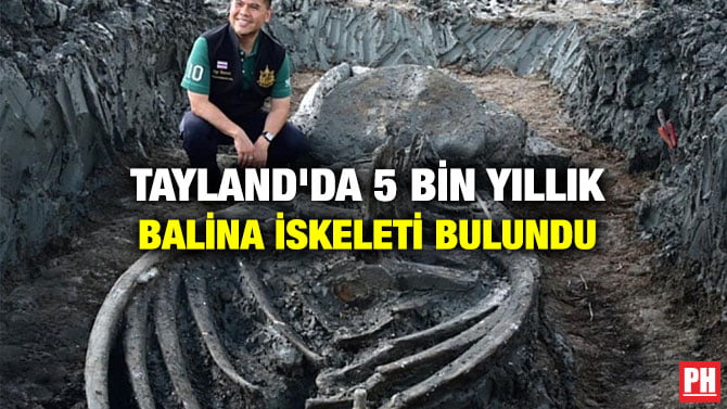 TAYLAND’DA 5 BİN YILLIK BALİNA İSKELETİ BULUNDU