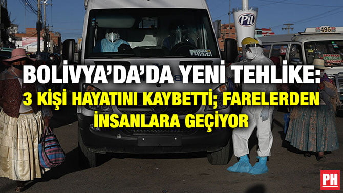 BOLİVYA’DA’DA YENİ TEHLİKE: 3 KİŞİ HAYATINI KAYBETTİ; FARELERDEN İNSANLARA GEÇİYOR