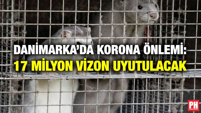 DANİMARKA’DA KORONA ÖNLEMİ: 17 MİLYON VİZON UYUTULACAK