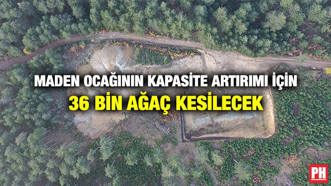 MADEN OCAĞININ KAPASİTE  ARTIRIMI İÇİN 36 BİN AĞAÇ KESİLECEK