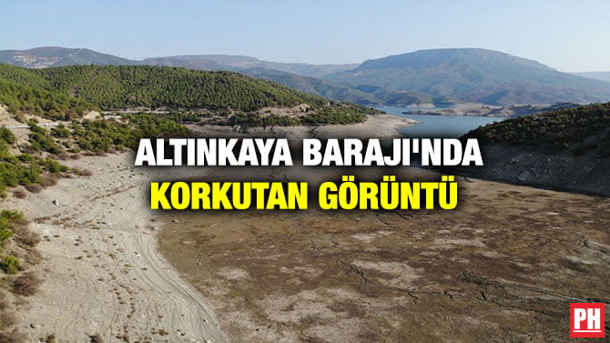 ALTINKAYA BARAJI’NDA KORKUTAN GÖRÜNTÜ
