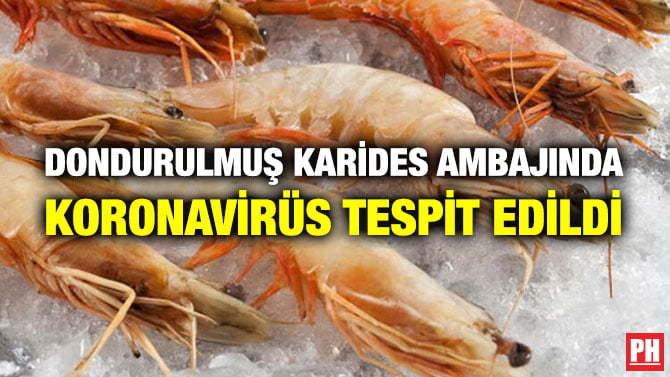 DONDURULMUŞ KARİDES AMBAJINDA KORONAVİRÜS TESPİT EDİLDİ