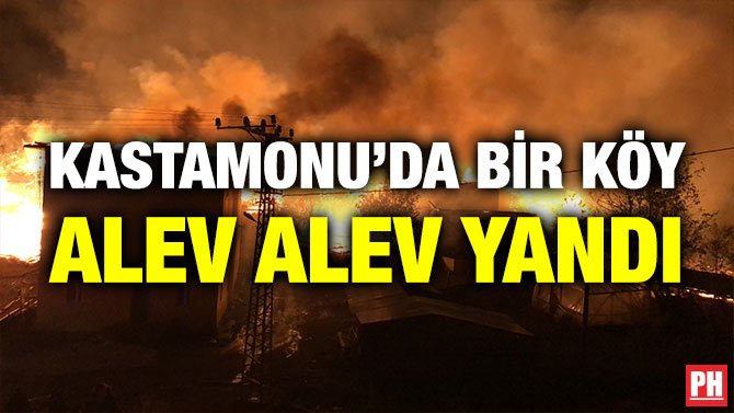 KASTAMONU’DA BİR KÖY ALEV ALEV YANDI