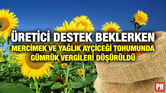 ÜRETİCİ DESTEK BEKLERKEN MERCİMEK VE YAĞLIK AYÇİCEĞİ TOHUMUNDA GÜMRÜK VERGİLERİ DÜŞÜRÜLDÜ