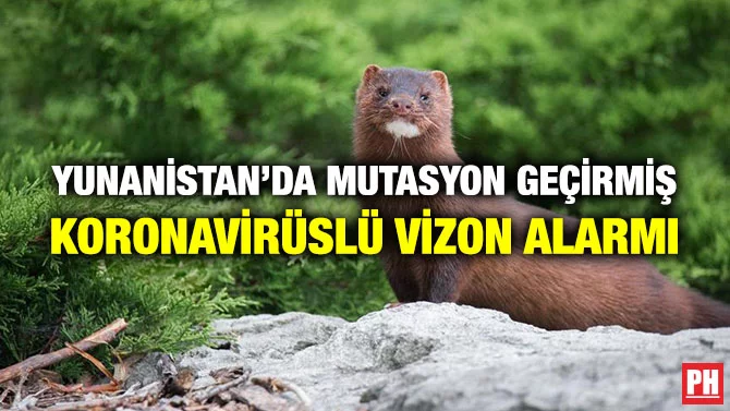 YUNANİSTAN’DA MUTASYON GEÇİRMİŞ KORONAVİRÜSLÜ VİZON ALARMI