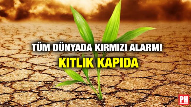 TÜM DÜNYADA KIRMIZI ALARM! KITLIK KAPIDA