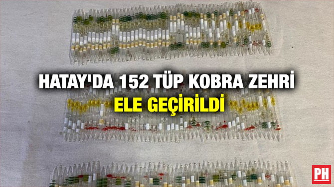 HATAY’DA 152 TÜP KOBRA ZEHRİ ELE GEÇİRİLDİ