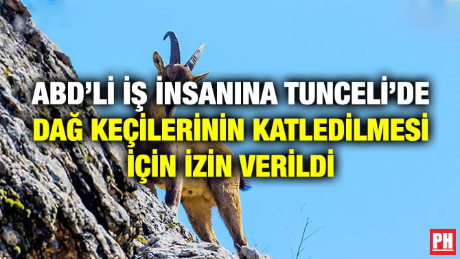 ABD’Lİ İŞ İNSANINA TUNCELİ’DE DAĞ KEÇİLERİNİN KATLEDİLMESİ İÇİN İZİN VERİLDİ