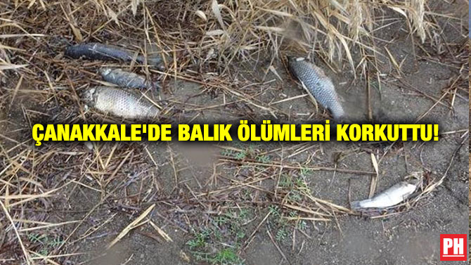 ÇANAKKALE’DE BALIK ÖLÜMLERİ KORKUTTU!