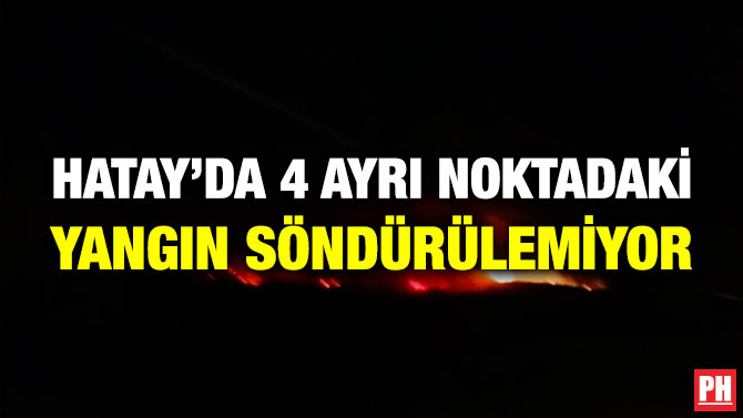 HATAY’DA 4 AYRI NOKTADAKİ YANGIN SÖNDÜRÜLEMİYOR