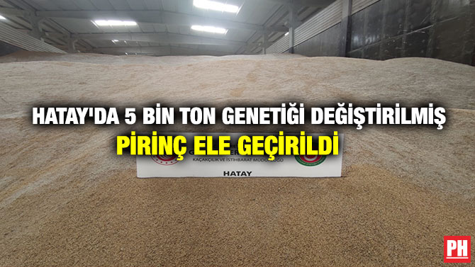 HATAY’DA 5 BİN TON GENETİĞİ DEĞİŞTİRİLMİŞ PİRİNÇ ELE GEÇİRİLDİ