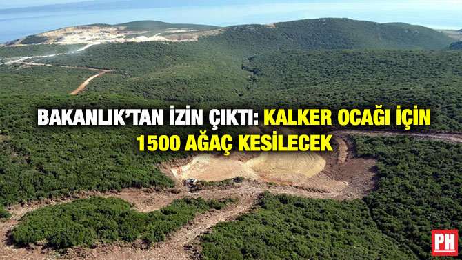 BAKANLIK’TAN İZİN ÇIKTI: KALKER OCAĞI İÇİN 1500 AĞAÇ KESİLECEK