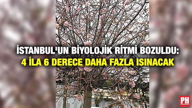 İSTANBUL’UN BİYOLOJİK RİTMİ BOZULDU: 4 İLA 6 DERECE DAHA FAZLA ISINACAK