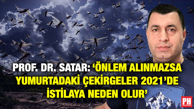 PROF. DR. SATAR: ‘ÖNLEM ALINMAZSA YUMURTADAKİ ÇEKİRGELER 2021’DE İSTİLAYA NEDEN OLUR’