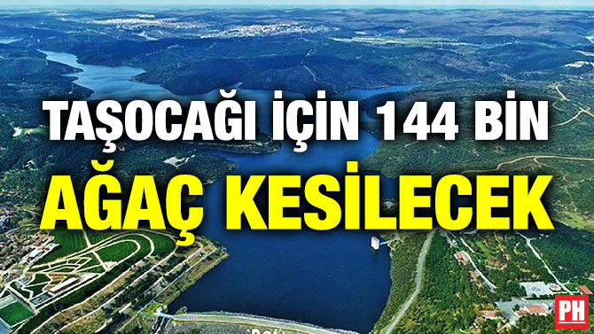TAŞOCAĞI İÇİN 144 BİN AĞAÇ KESİLECEK
