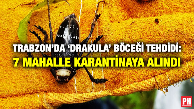TRABZON’DA ‘DRAKULA’ BÖCEĞİ TEHDİDİ: 7 MAHALLE KARANTİNAYA ALINDI